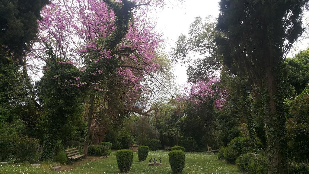 The Villa Averoff Kirinthos Room photo